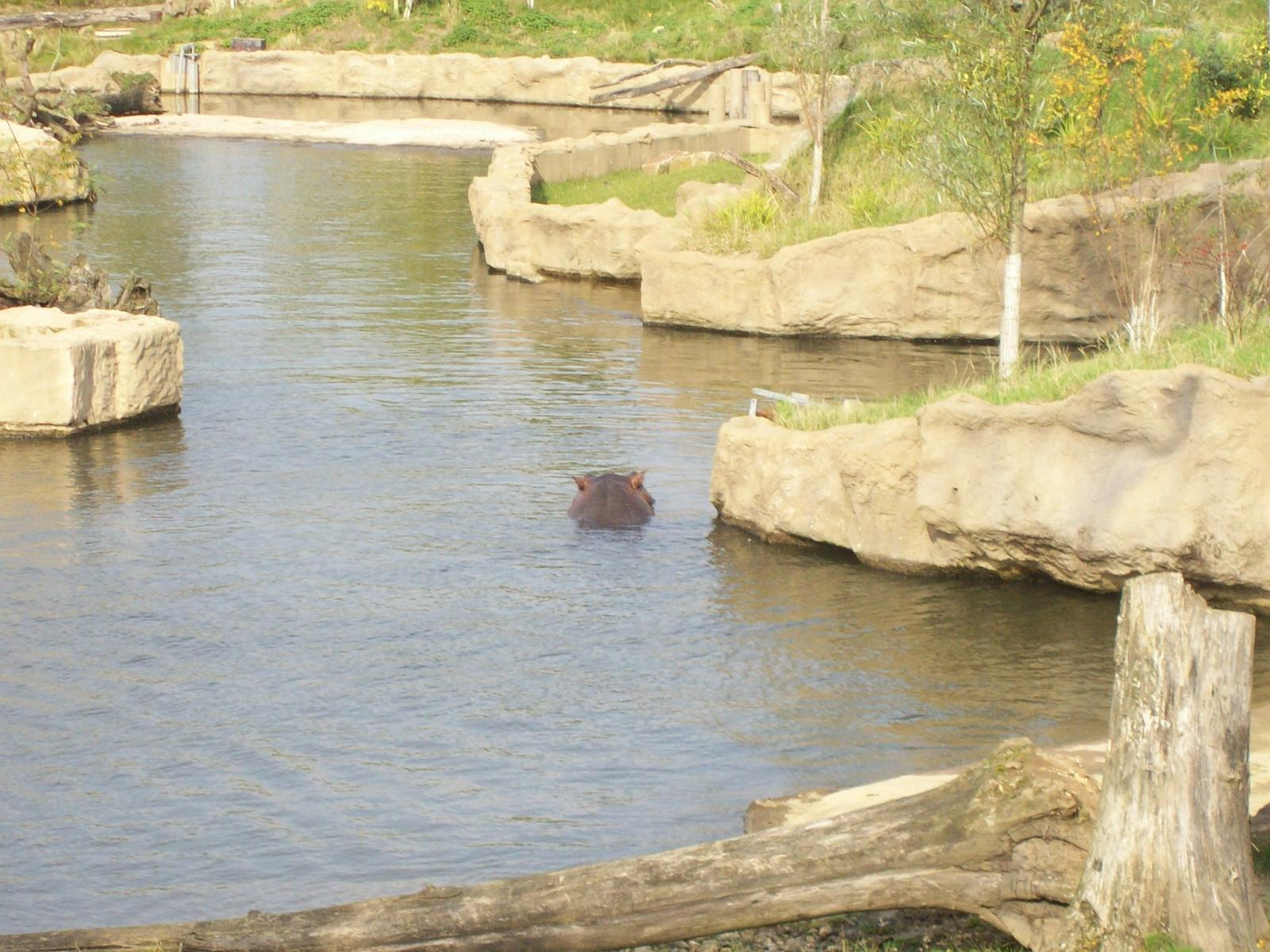 Zoom 18.10.2008-190.jpg